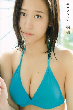 春野樱本子